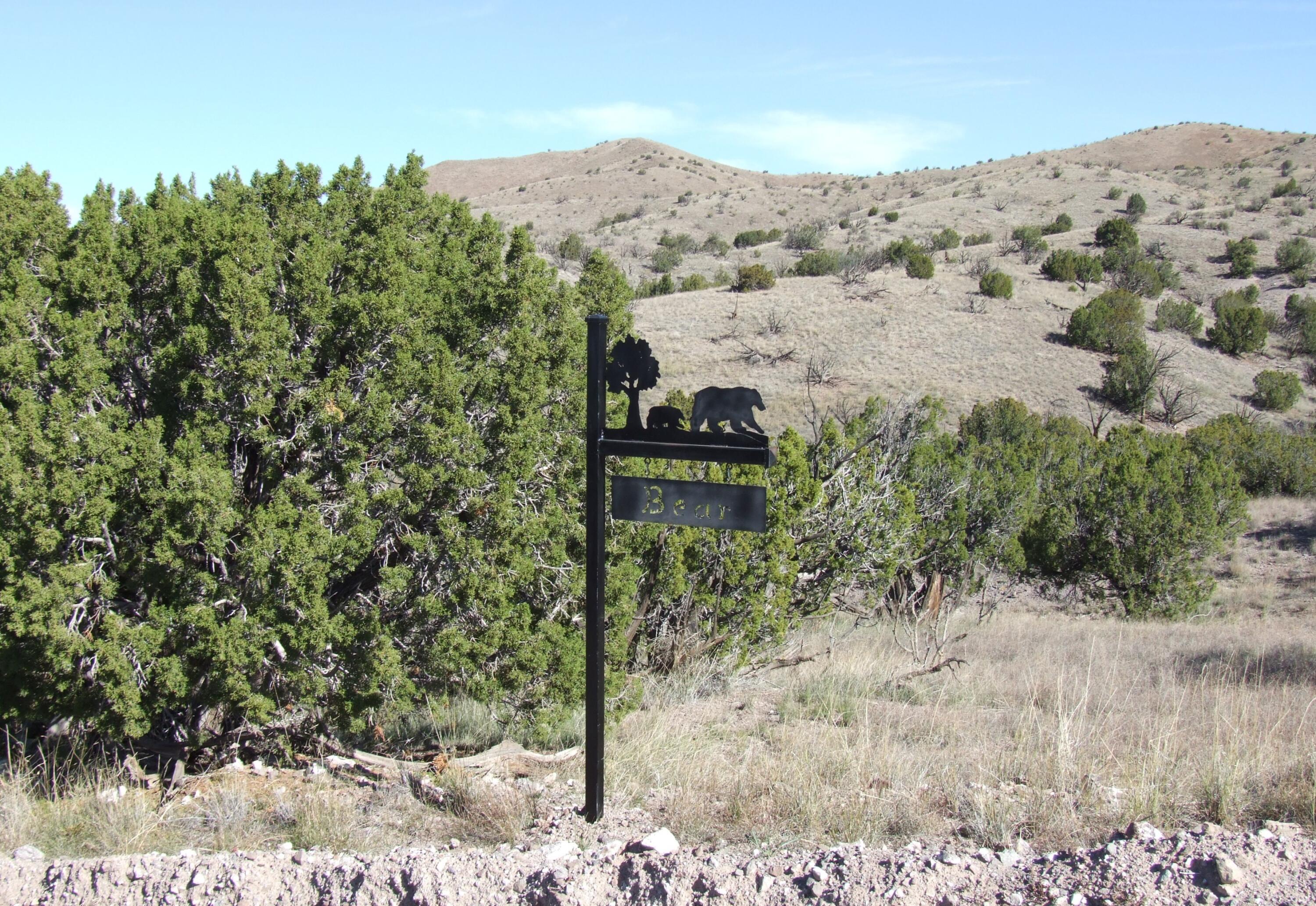 Photo 3 —  Abbe Springs Ranches Lot 115