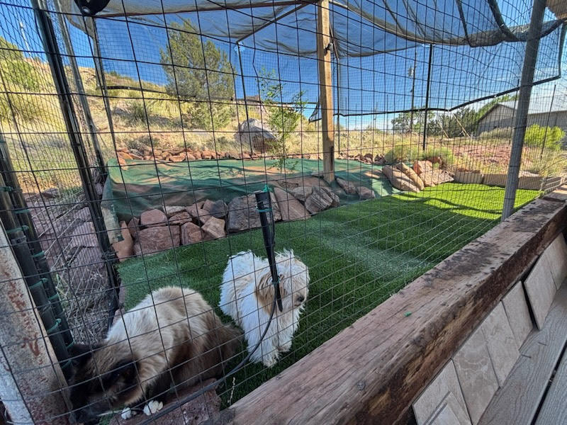 Photo 12 — 405 & 407 Bullhead Drive