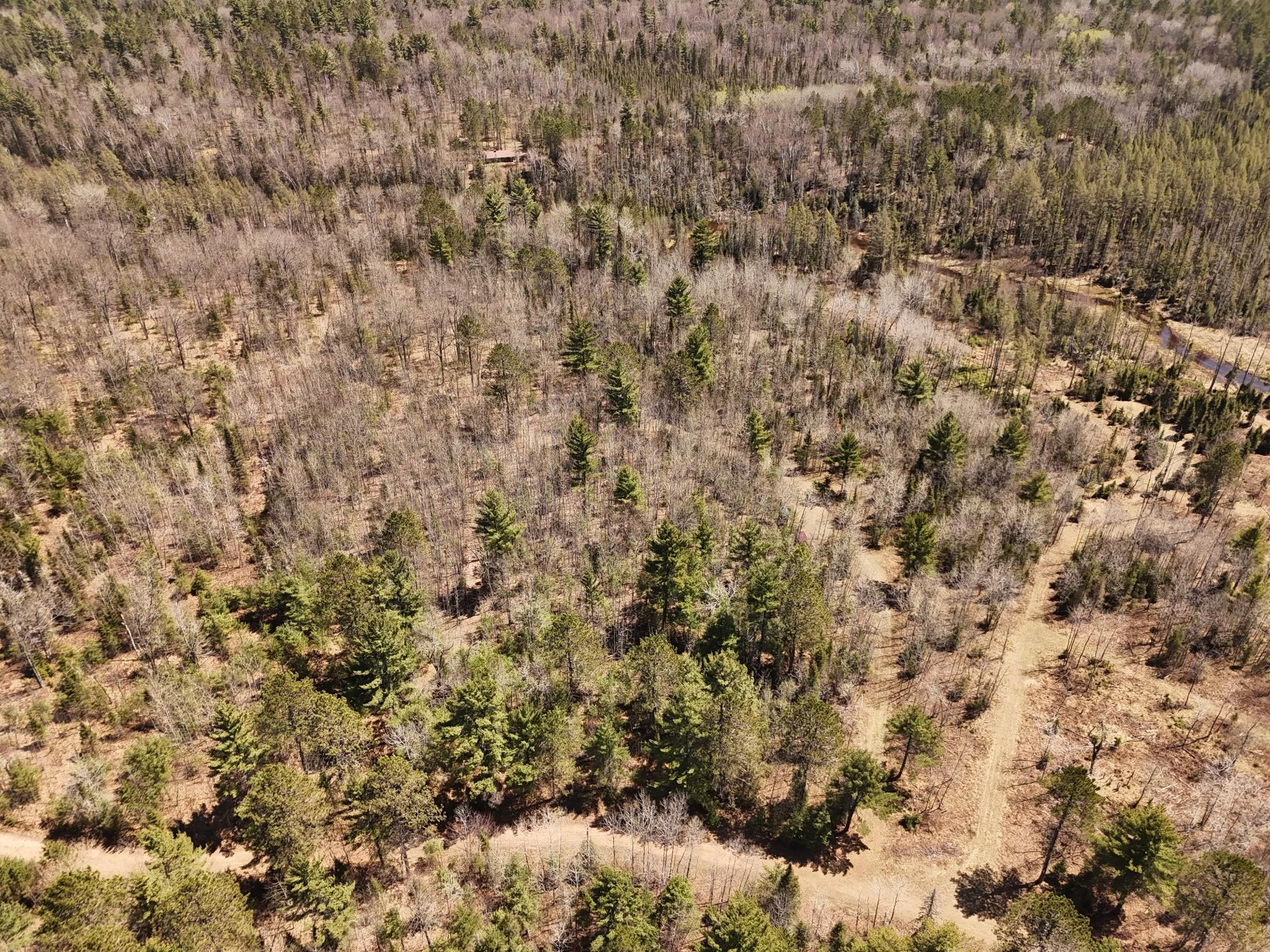 River Property Property 15.86 AC Mill Creek Ln Photo 15