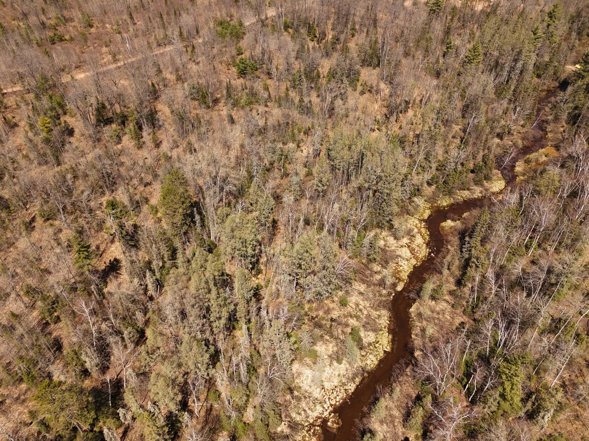 River Property Property 15.86 AC Mill Creek Ln Photo 22