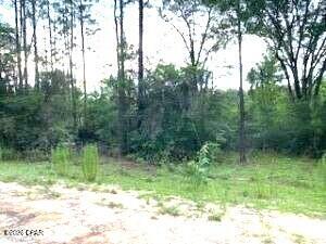 Homes for sale in Marianna, FL | 0 Summer St #3, Marianna, FL 32448 | MLS# 791211