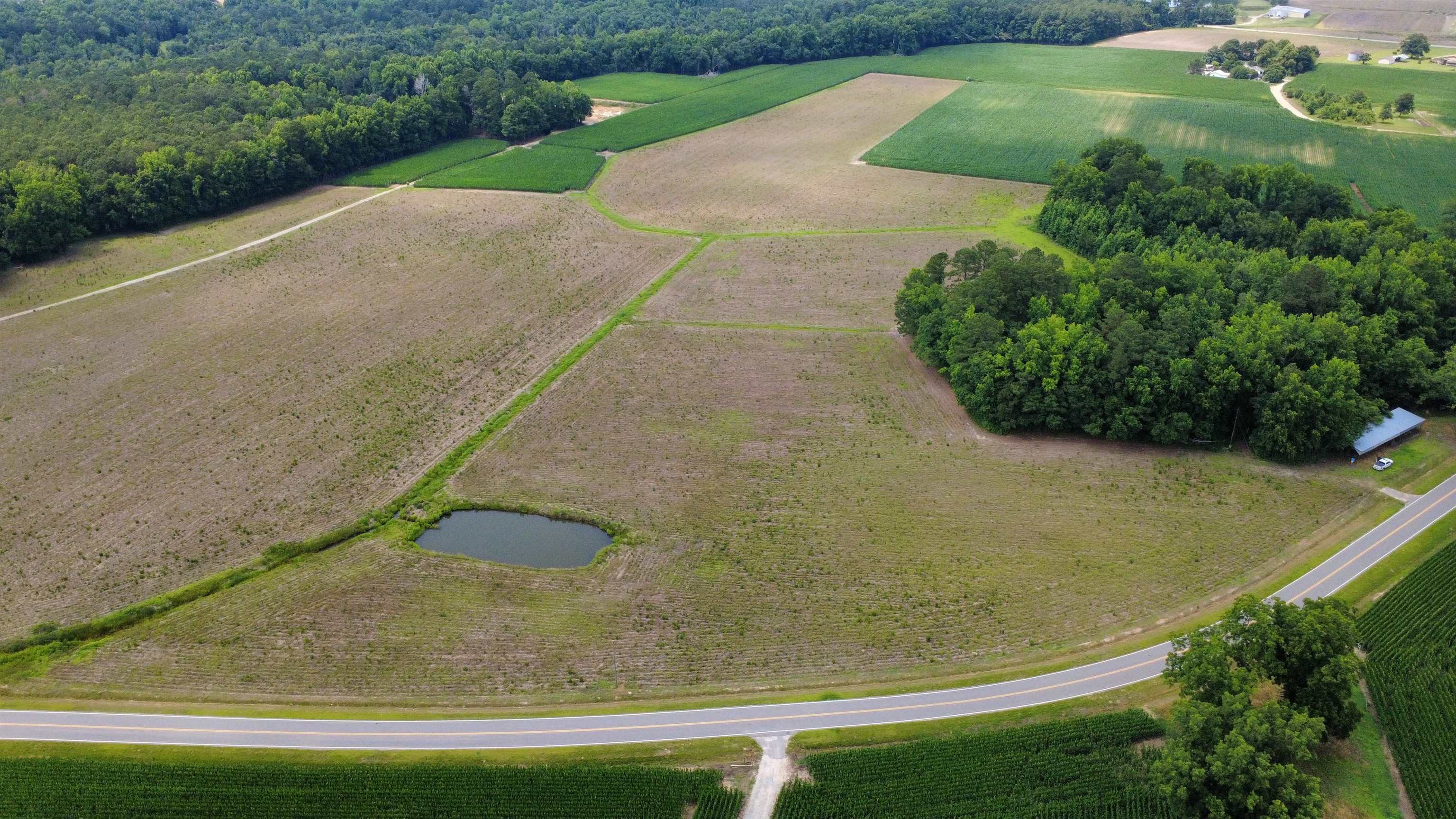 TBD (Tract Long Branch Swamp Rd. Green Sea, SC 29545