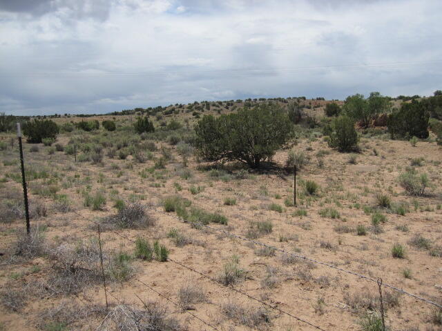 5th image of Lot 3 Blcok 5 E Frontage Road, Budaghers, NM 87001 | MLS# 1105292