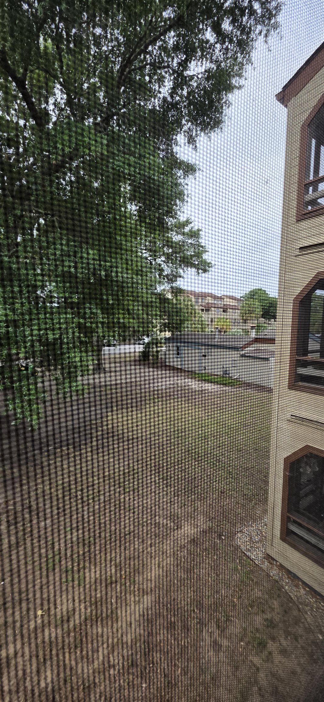 2615015 | Photo 10