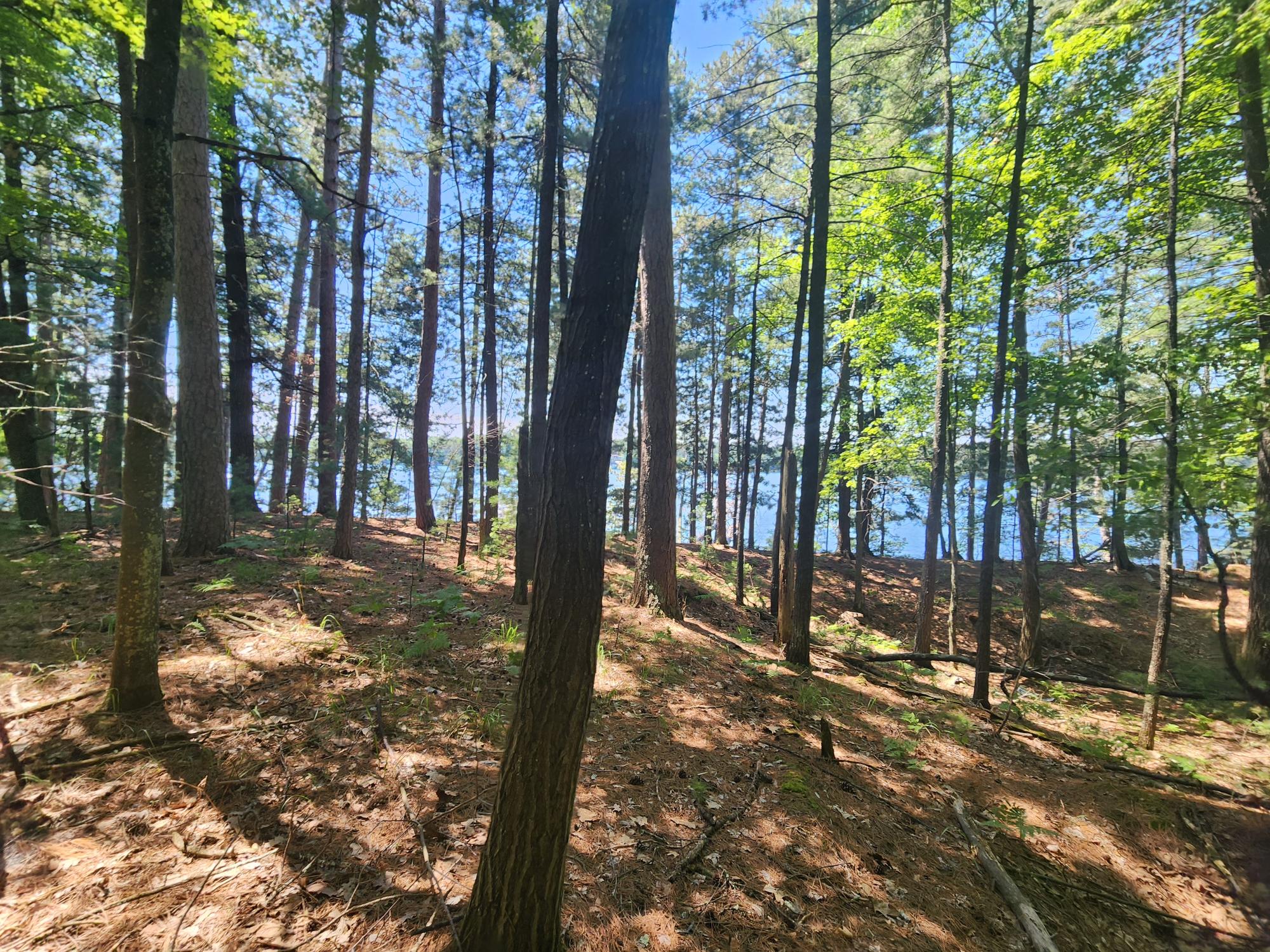 Kawaguesaga Lake Property 8400 Big Ripley Island Photo 34