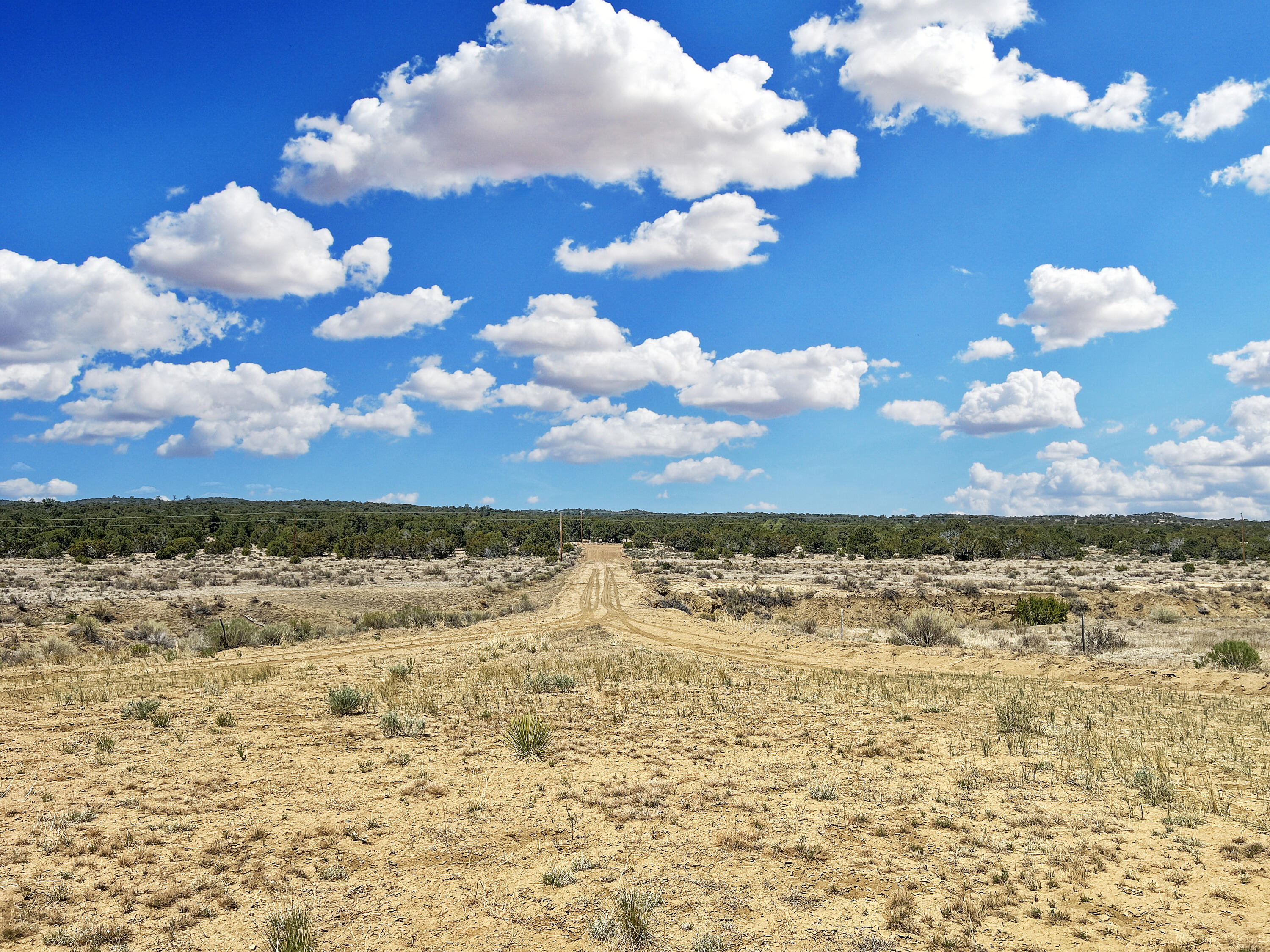 Photo 3 of Sale Pending at Lot 4 Slurry Rd, Pie Town, NM 87827 | MLS# 1105395 | Listing updated on 2026-09-03