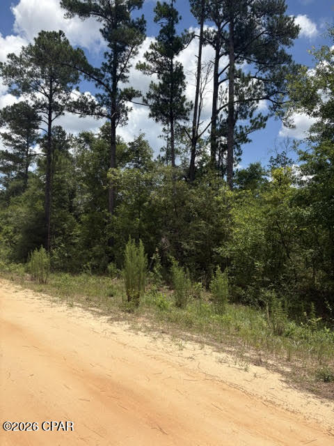 0 Tiger Avenue LT3 BLK75, Marianna, FL 32448