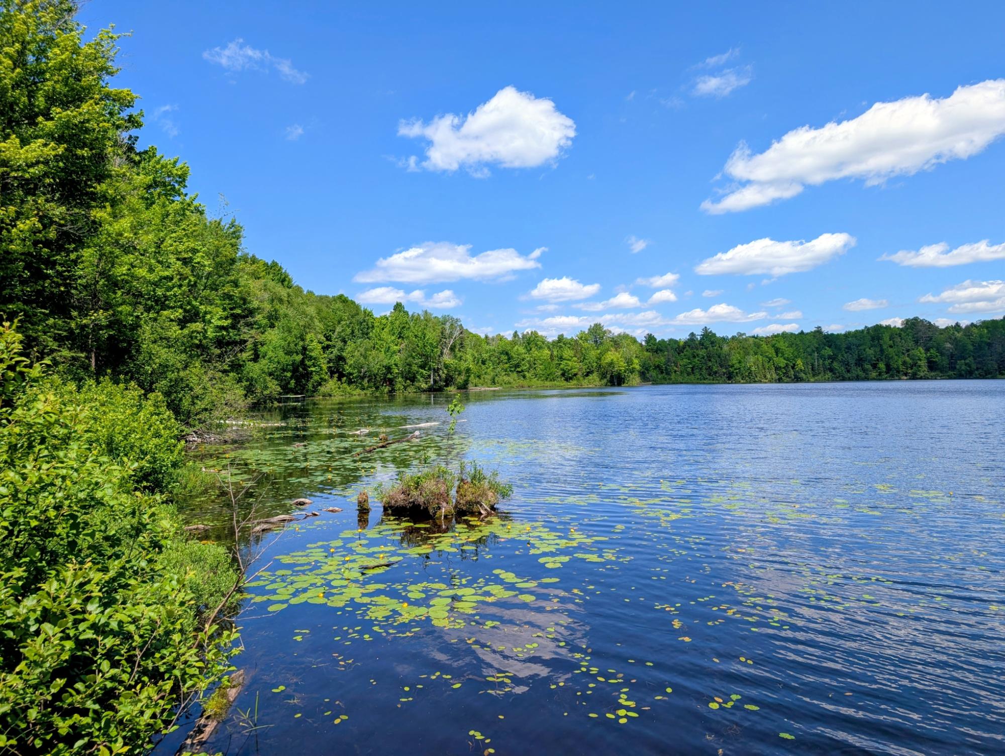 Sailor Creek Flowage Property W6929 Reds Ln Photo 31