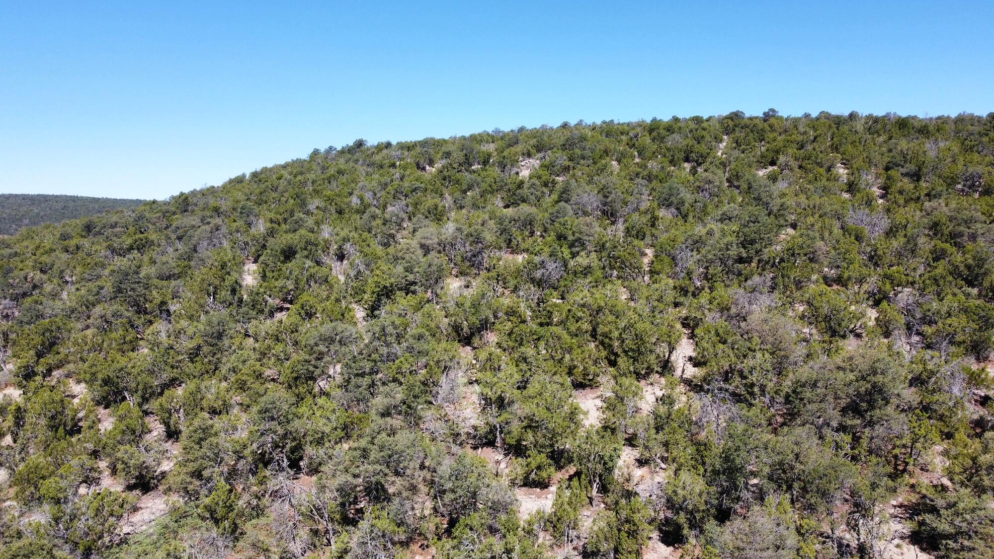 Photo 4 of Land for sale at Mountain Valley Dr, Edgewood, NM 87015 | MLS# 1105642 | Listing updated on 2026-10-19
