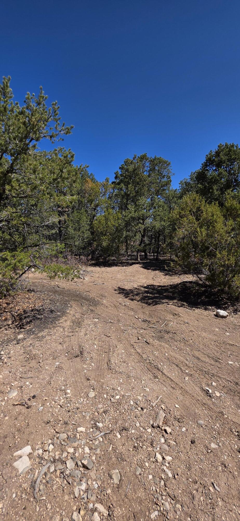  Chico Road R015120