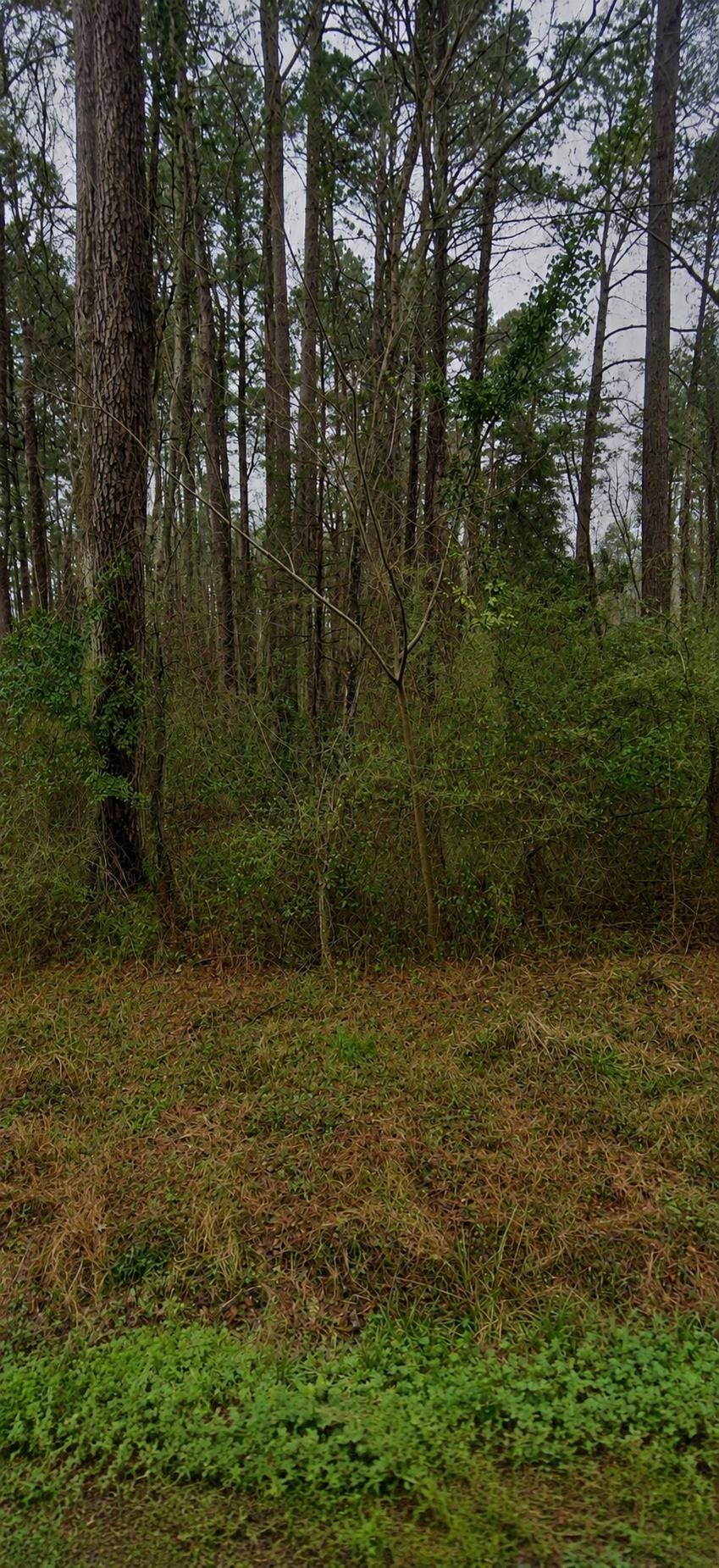 2615425 | Photo 2