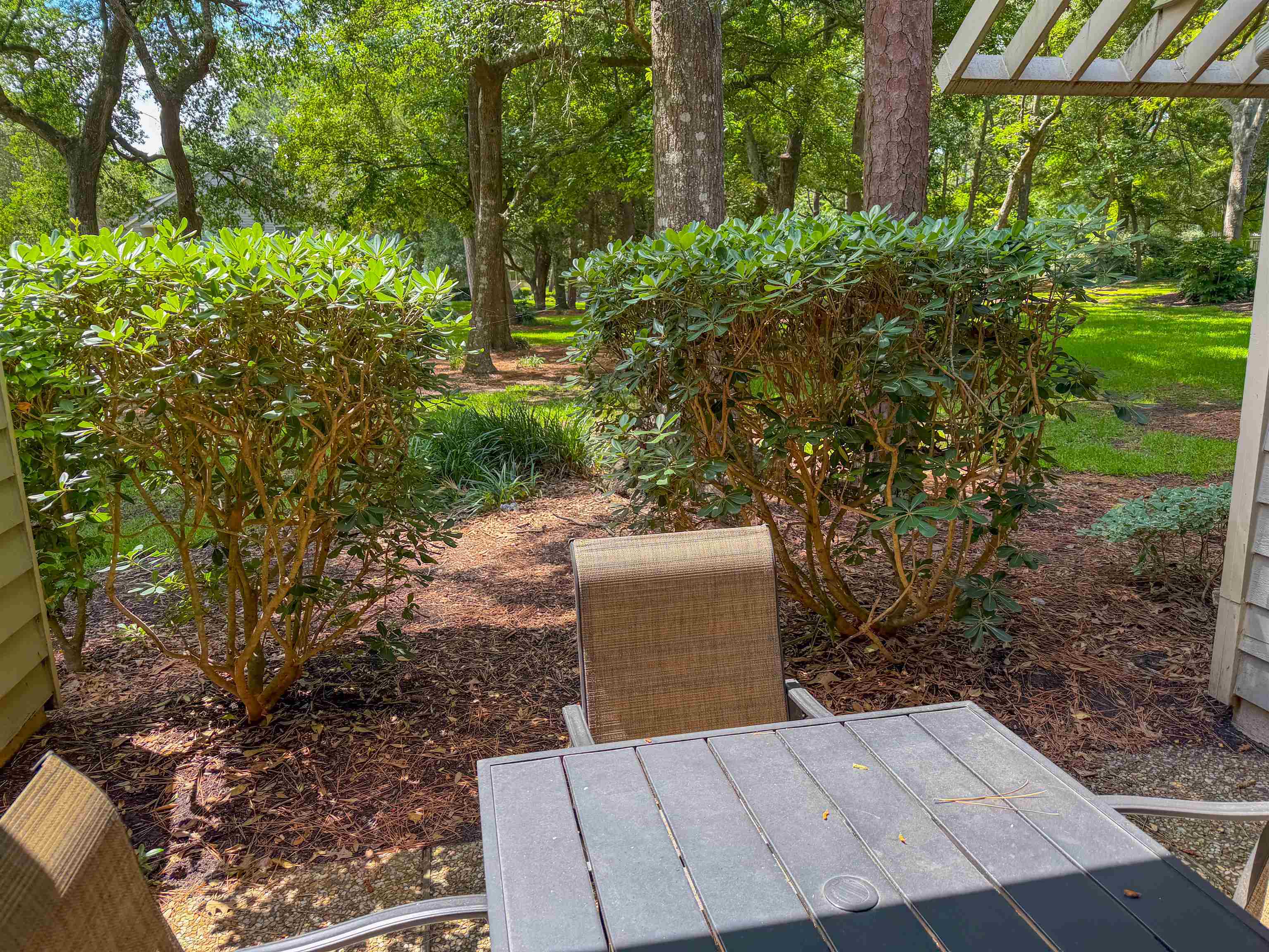 206 Westleton Dr.