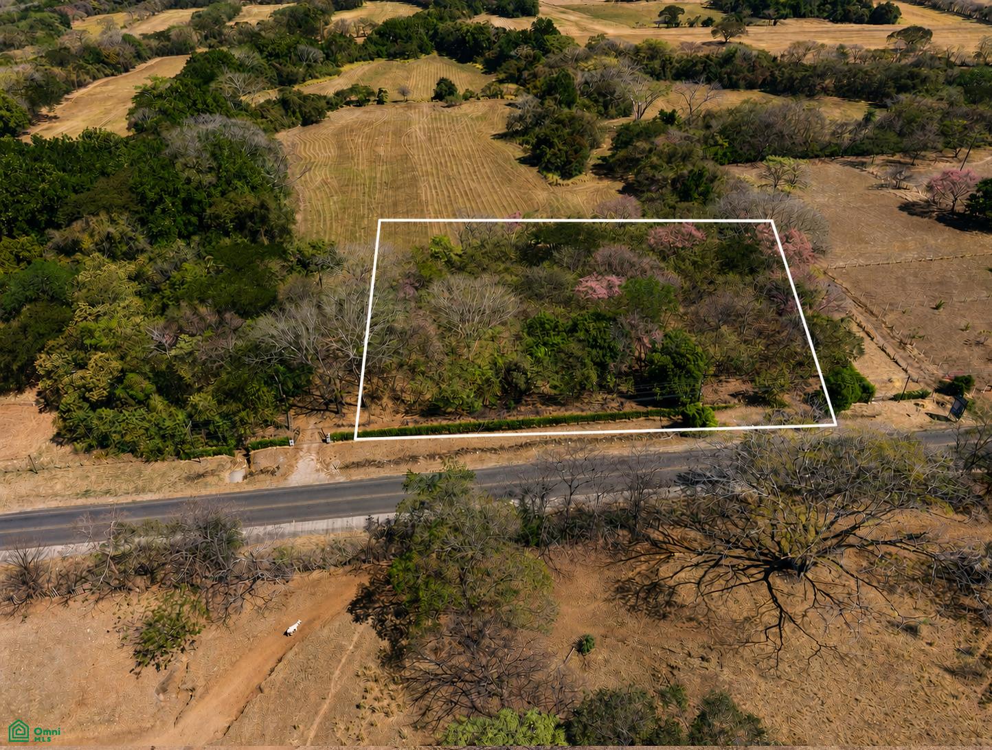  bed Land For Sale in Nicoya, Guanacaste - 1
