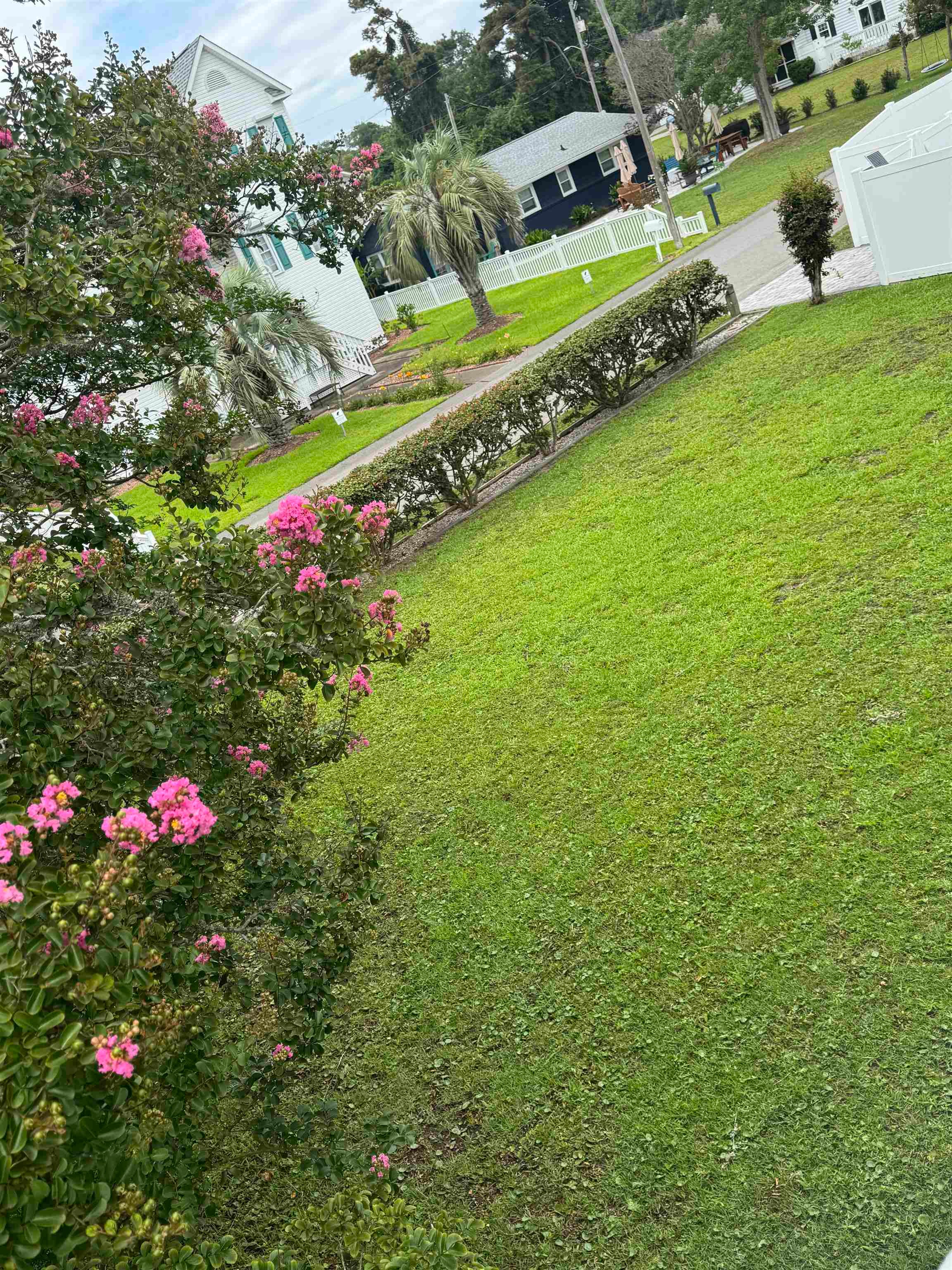2615487 | Photo 3