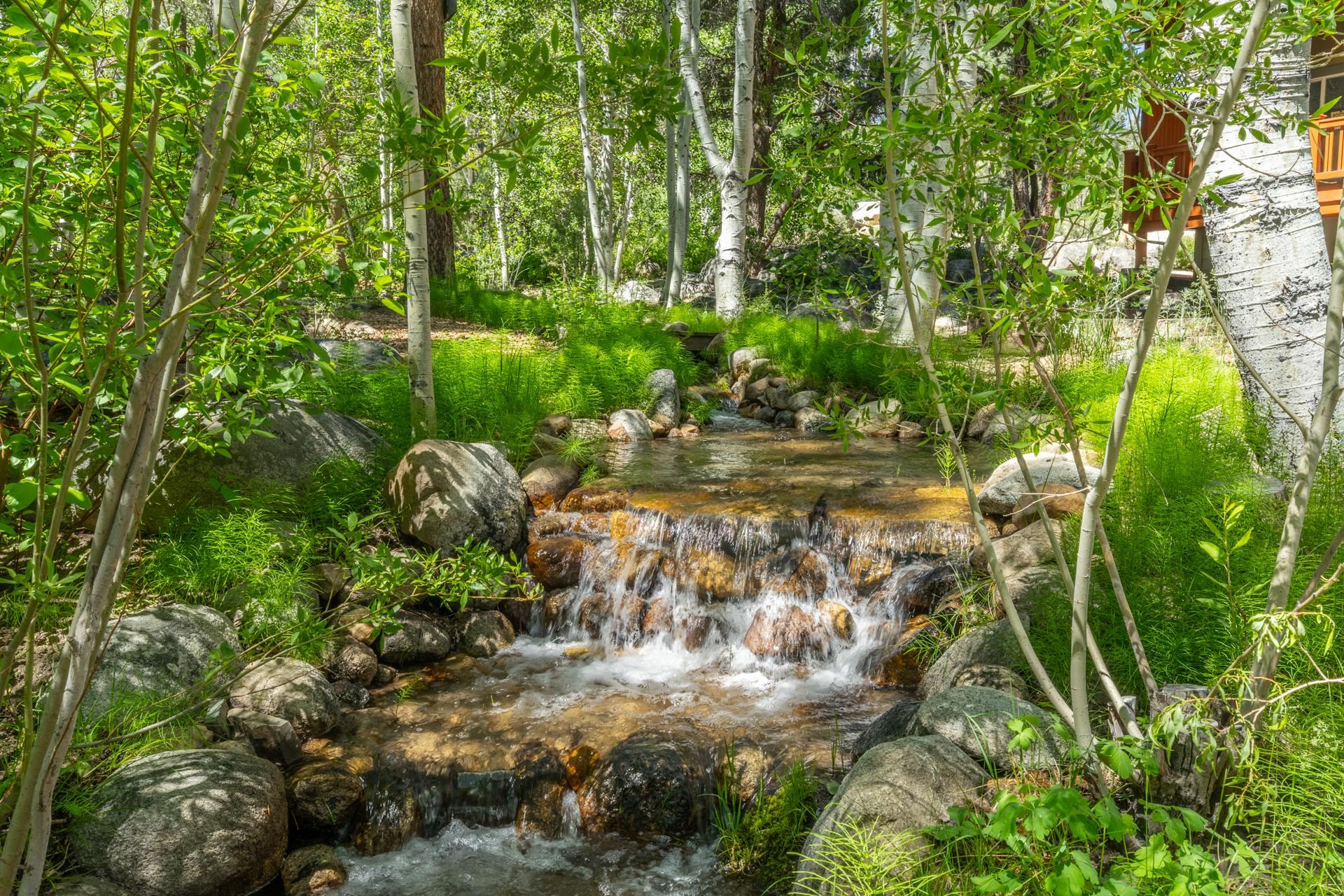 Property Photo 49