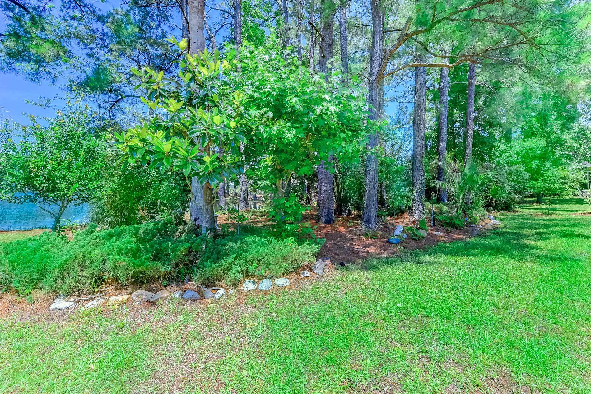 2615501 | Photo 49