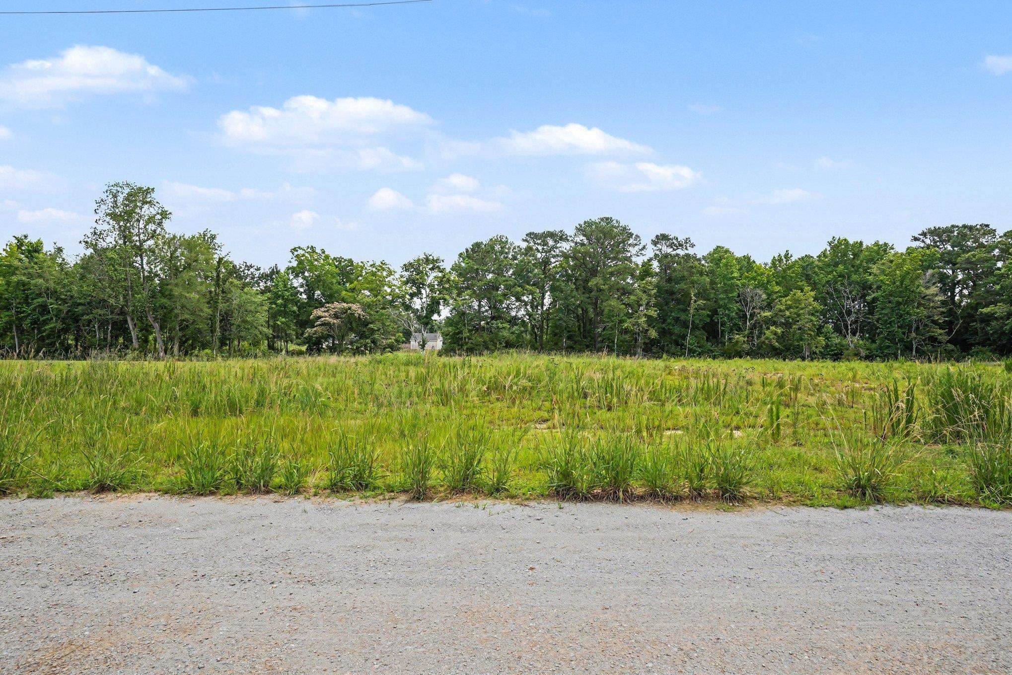 2615508 | Photo 2