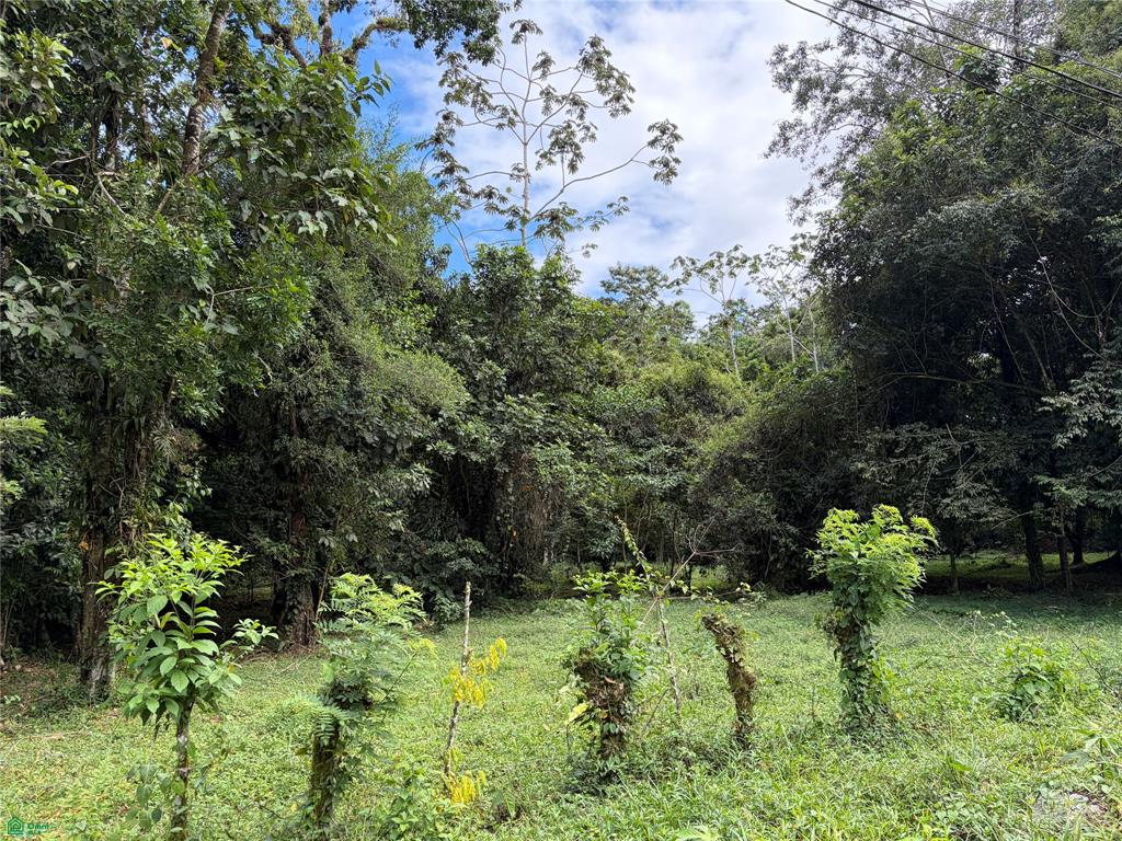  bed Land For Sale in Guápiles, Limon - 1