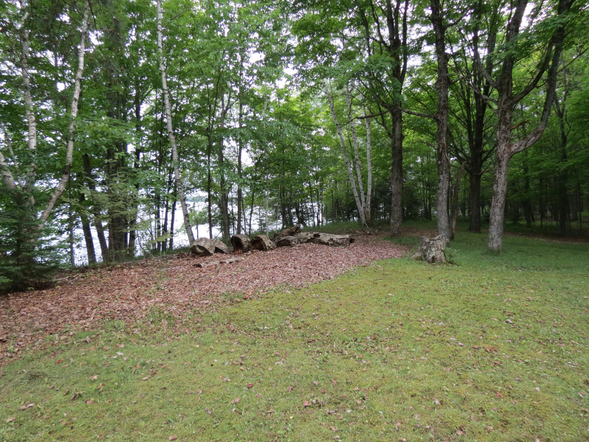 South Turtle Lake Property 7760 Black Forest Rd Photo 12
