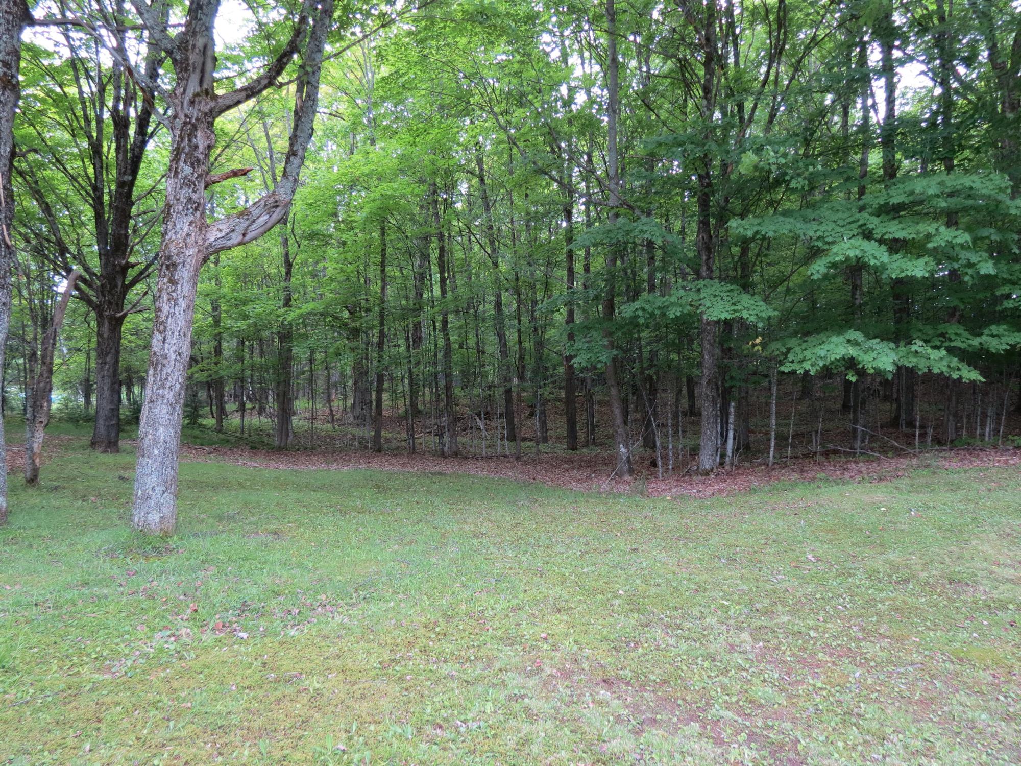 South Turtle Lake Property 7760 Black Forest Rd Photo 4