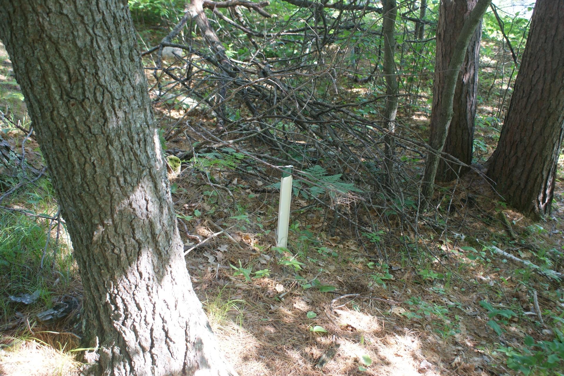 Little Rice Lake BJ Property 10310 Reible Ct Photo 30