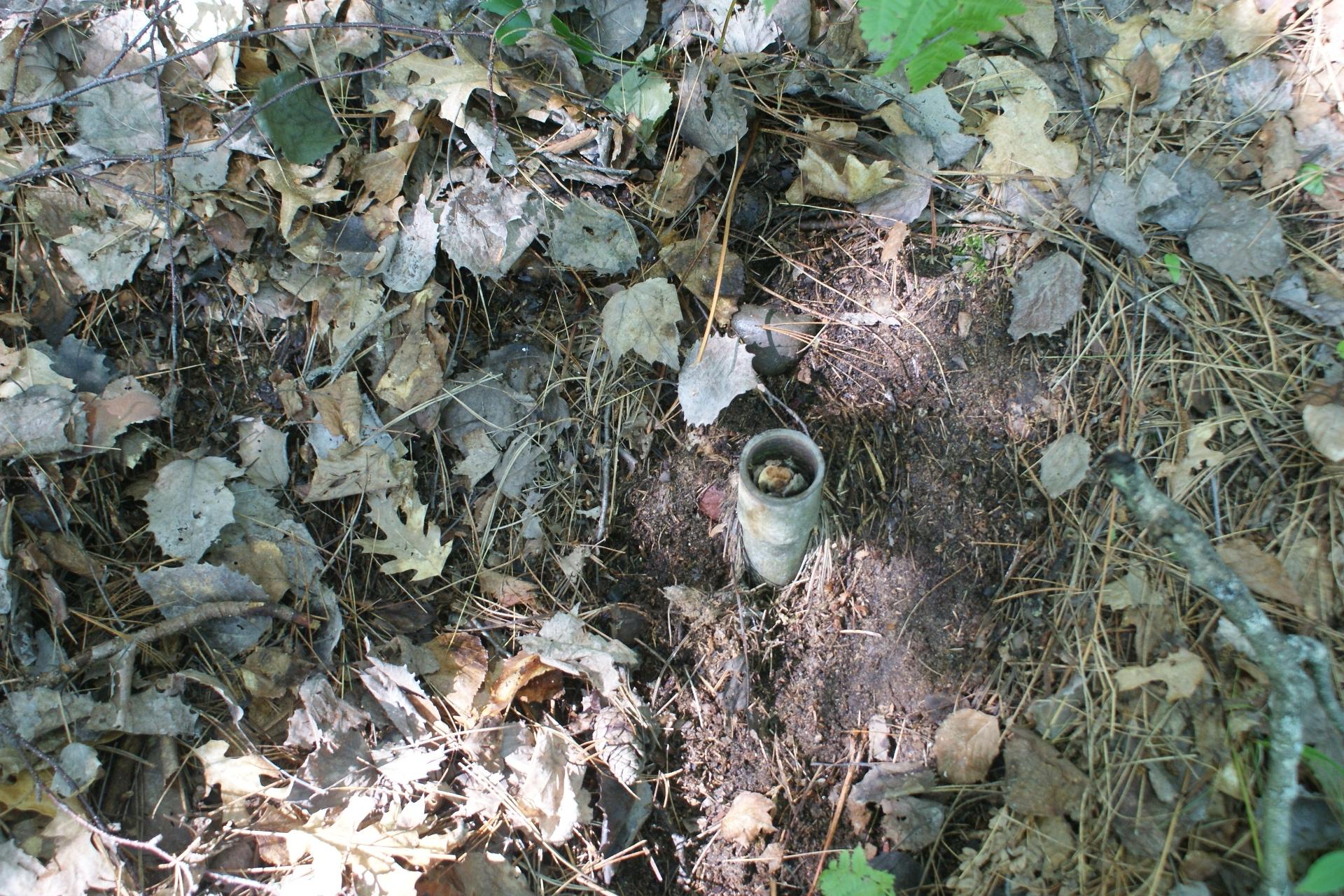 Little Rice Lake BJ Property 10310 Reible Ct Photo 31
