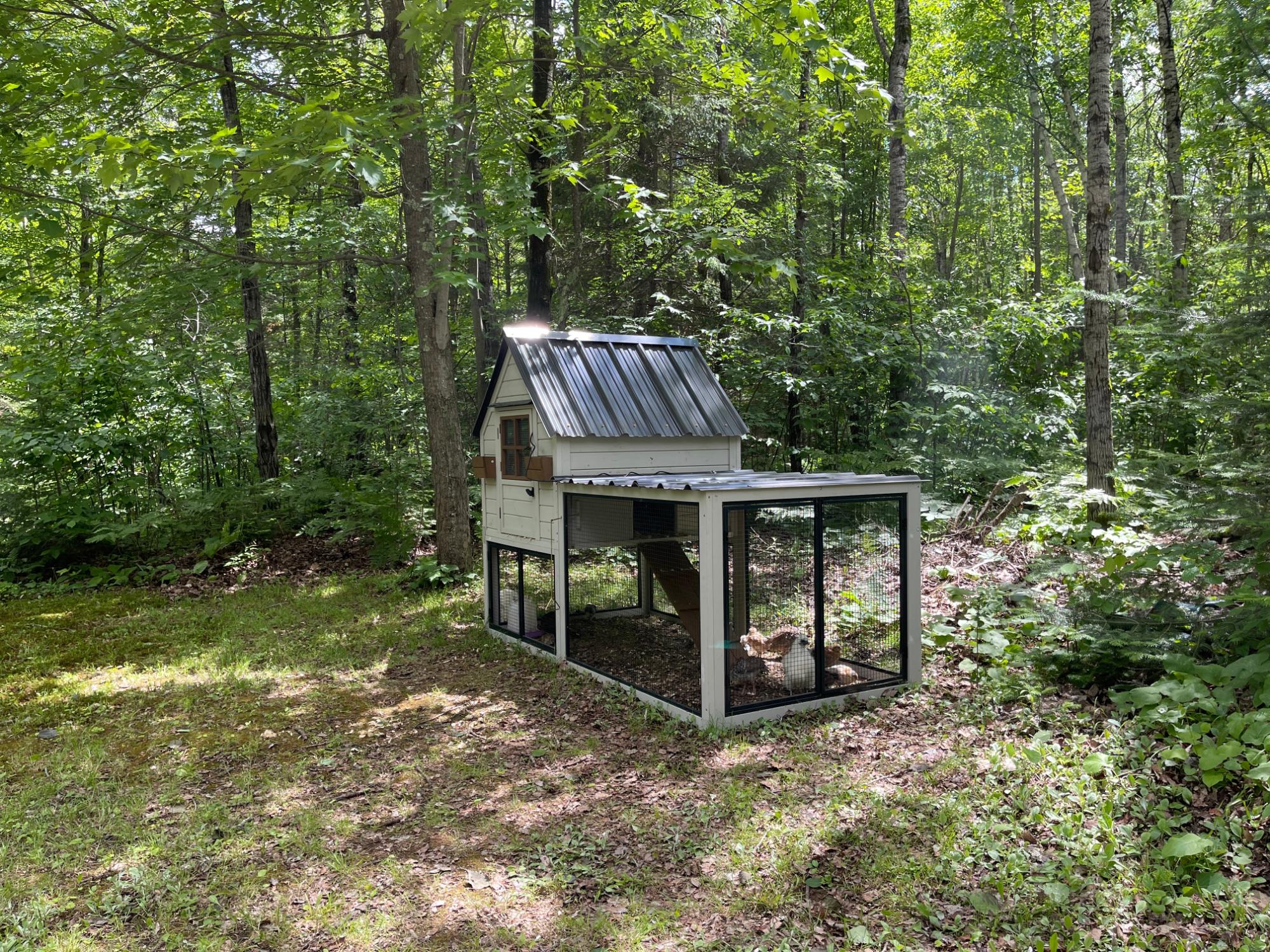 Musser Flowage Property W4741 Black Bear Ln Photo 36