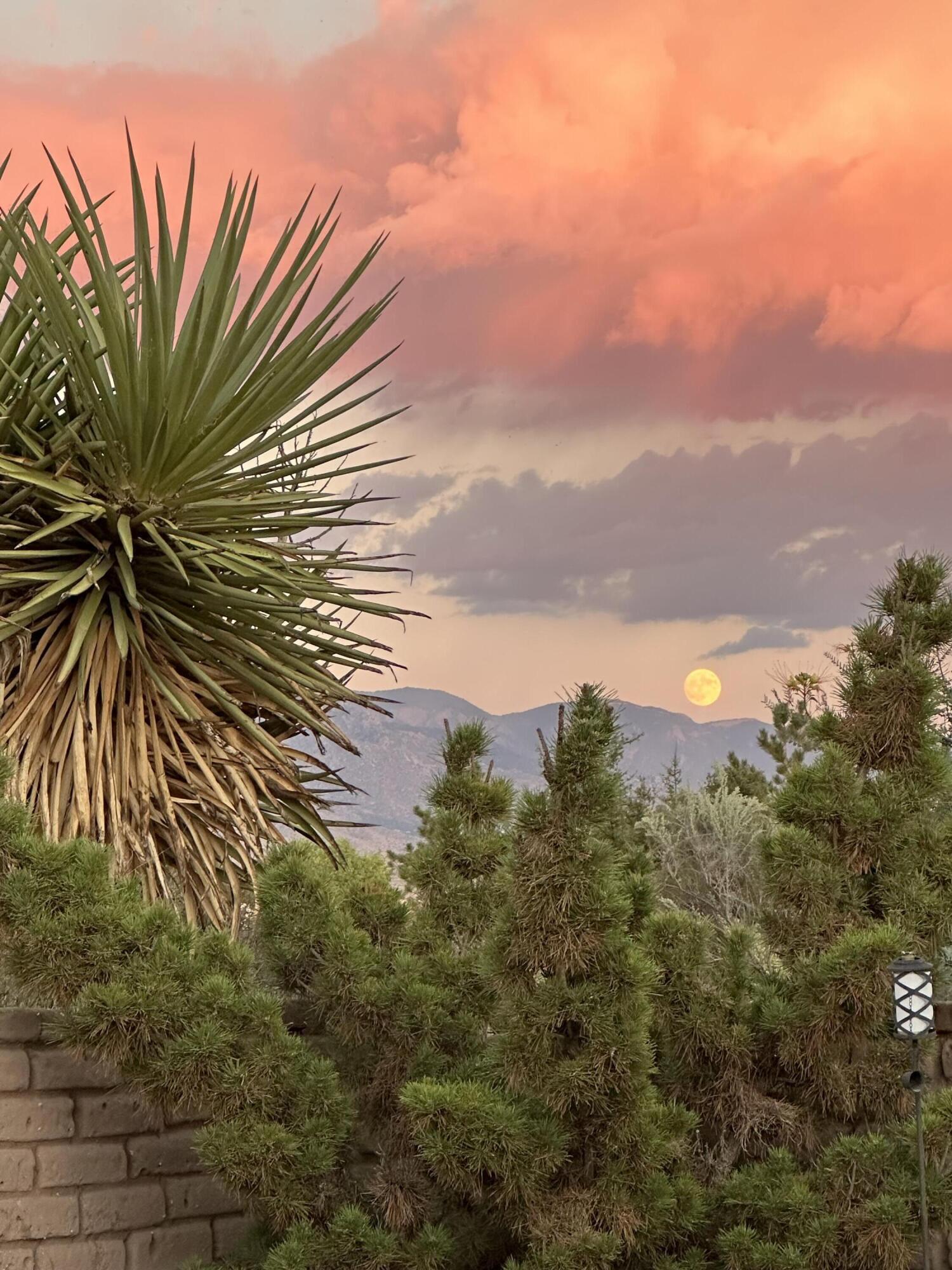 48th image of 77 Dulce Ct, Corrales, NM 87048 | MLS# 1105924