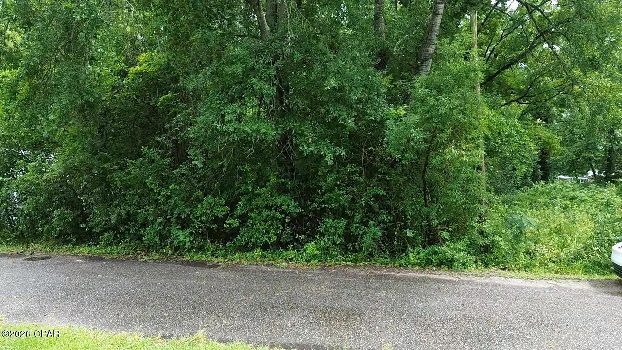 2nd image of Lot 1 Washington St, Graceville, FL 32440 | MLS# 791679