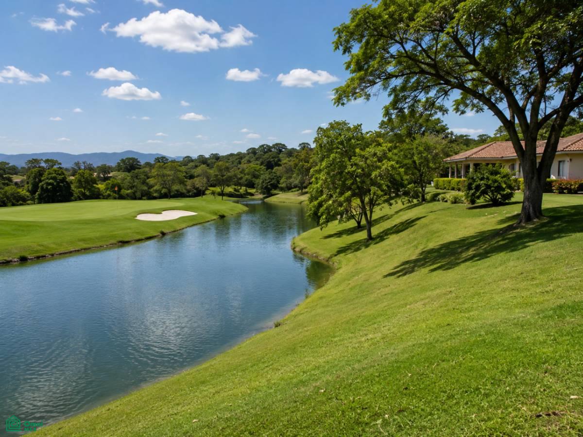 0 bed Land For Sale in Carrillo, Guanacaste - 1