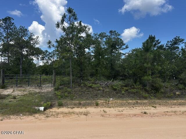 1st image of 2 114 Ocala Dr, Alford, FL 32420 | MLS# 791752