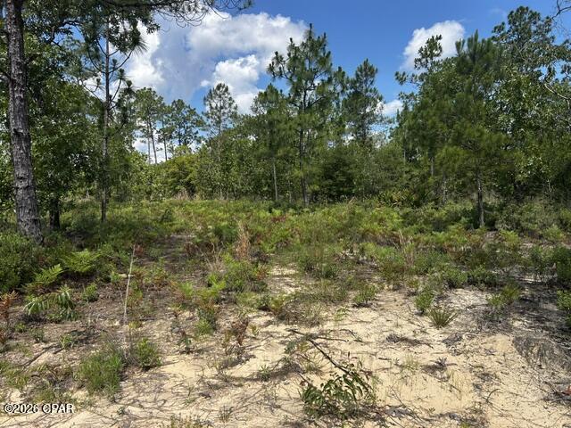 4th image of 2-114 Ocala Dr, Alford, FL 32420 | MLS# 791752