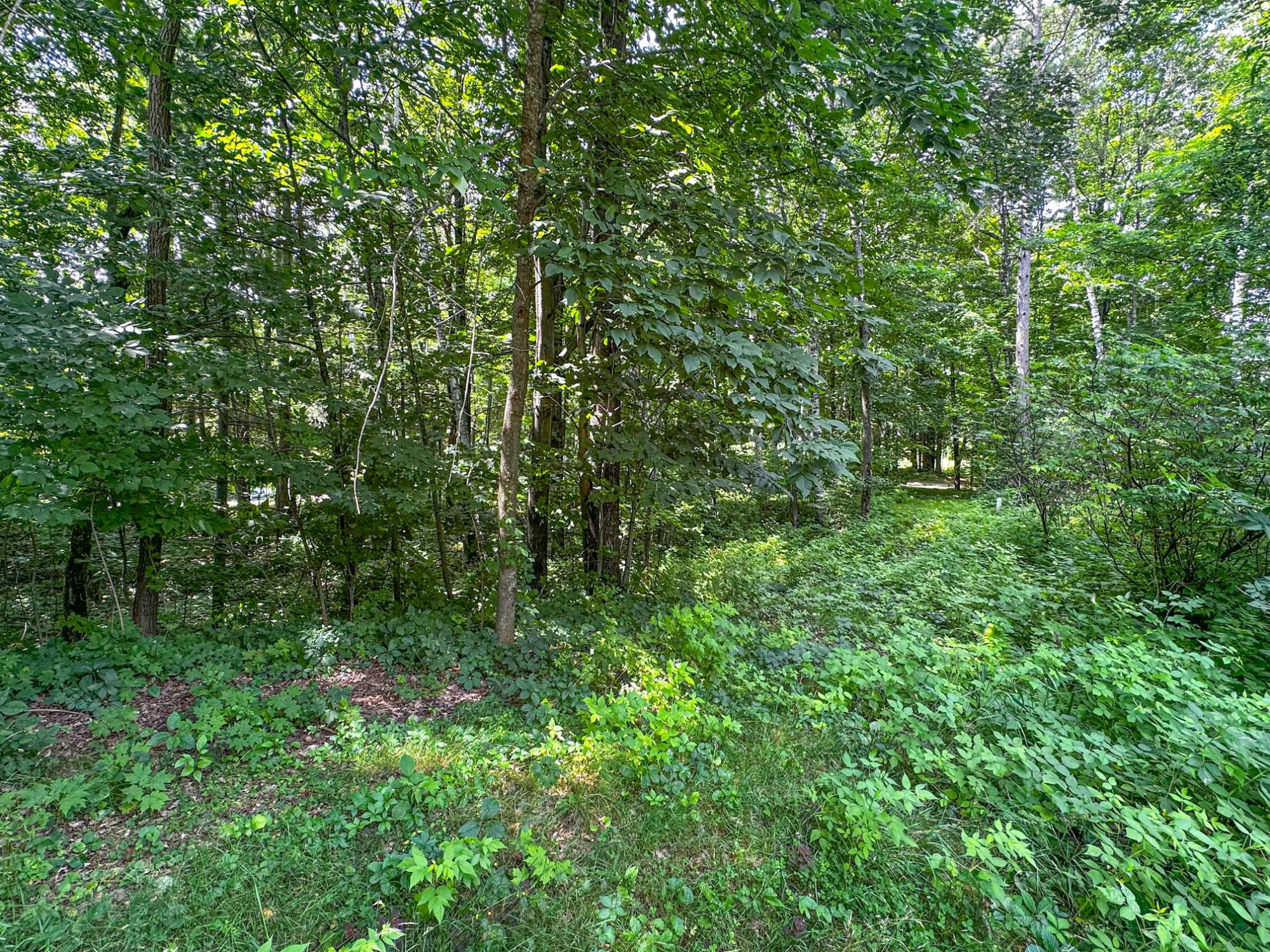 Undocumented Lake Property W7675 Cth W Photo 71