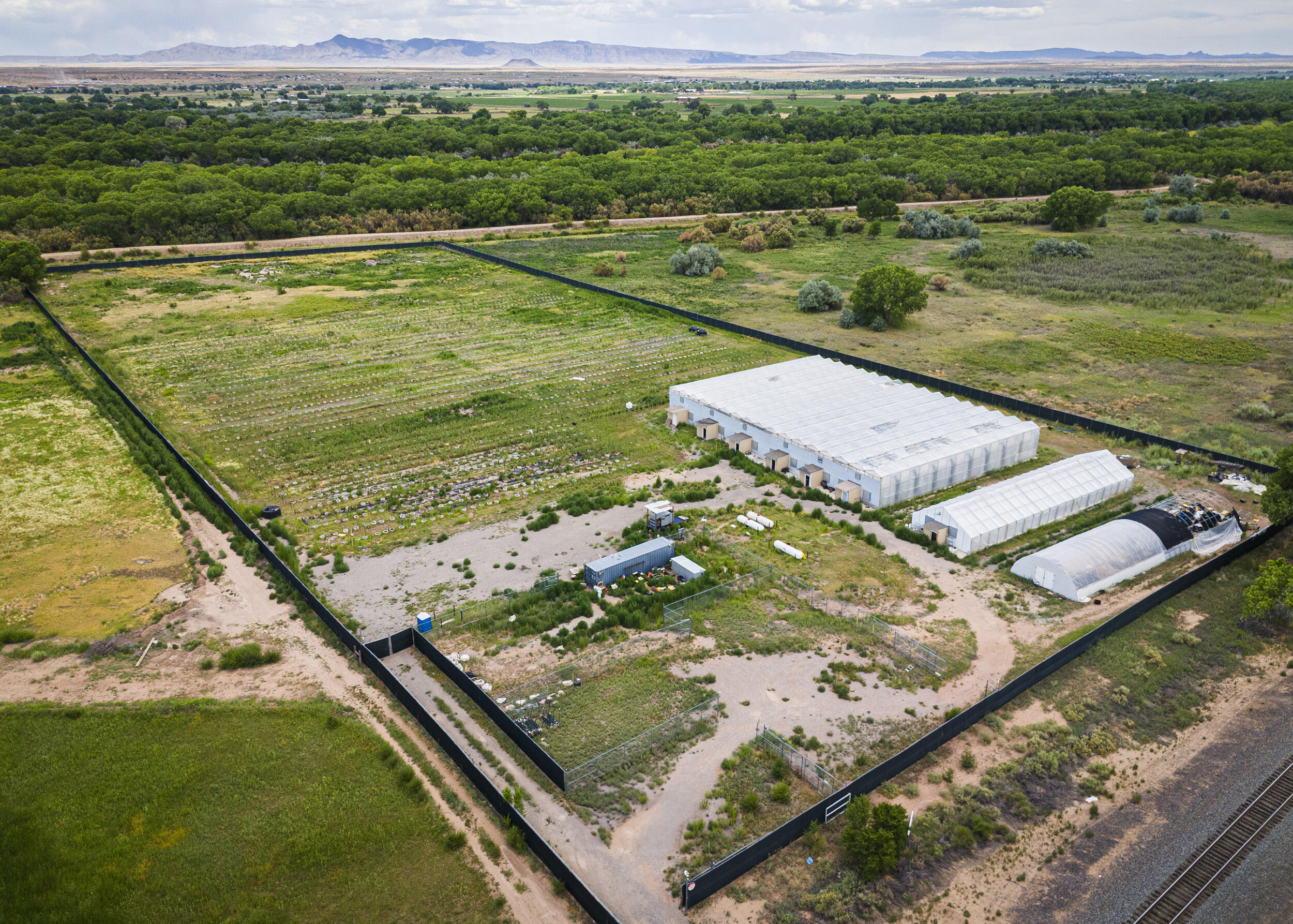 Photo 13 — 510 NM-116