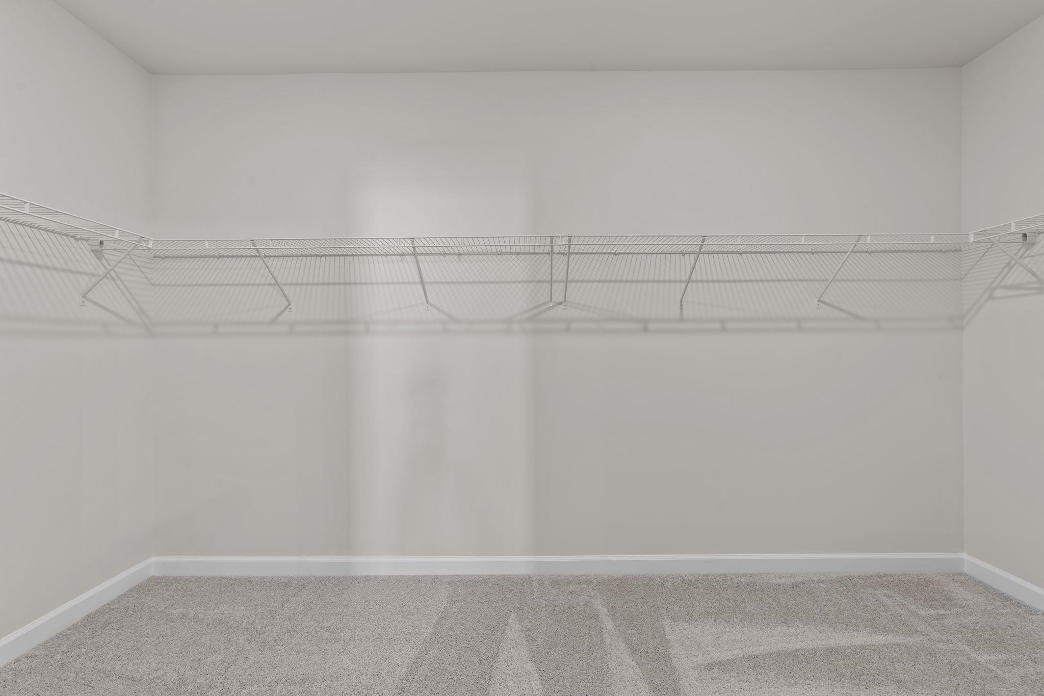 2616009 | Photo 21