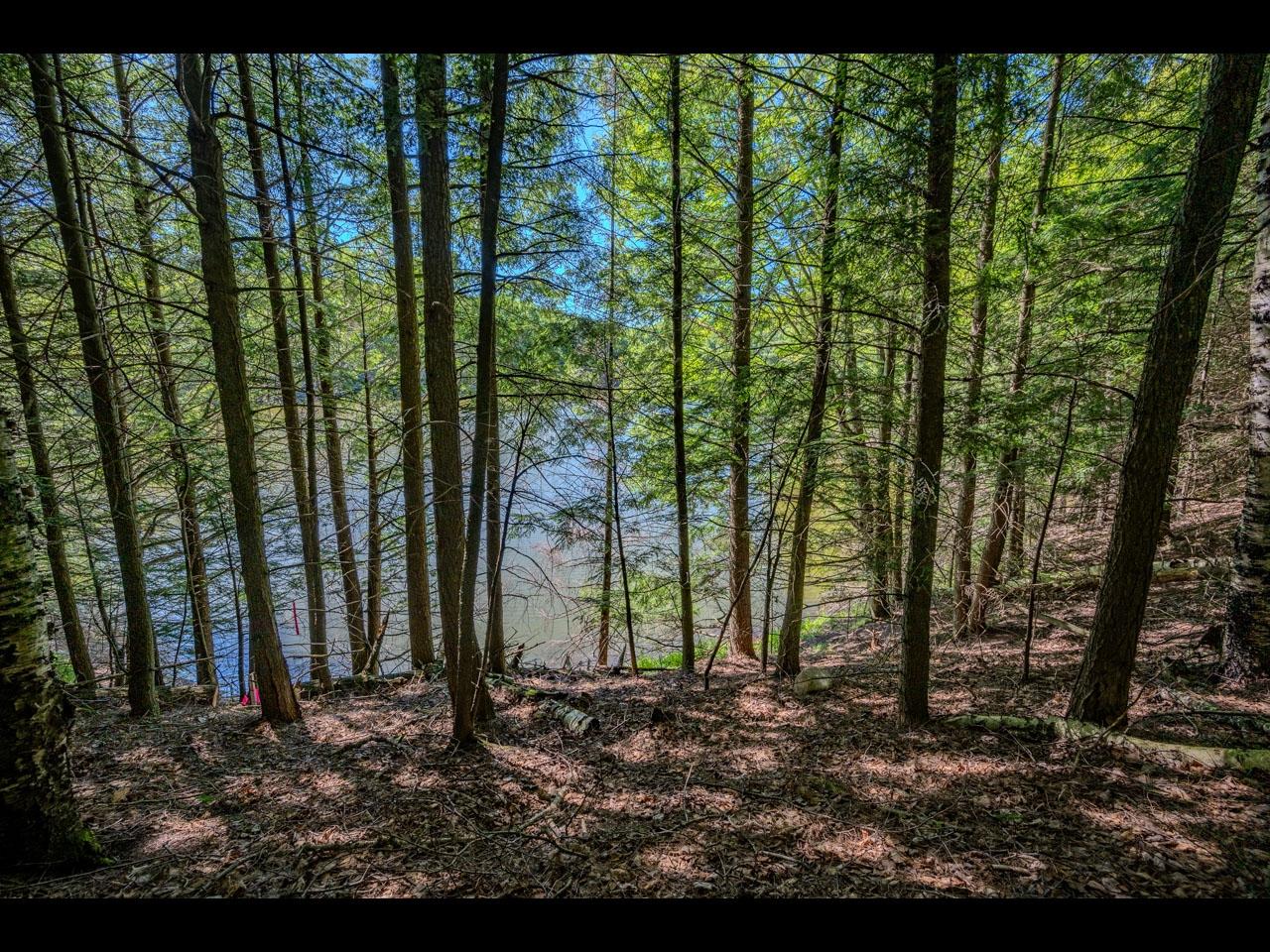 Lac Du Lune Property Lt 11-15 Briar Ln Photo 14