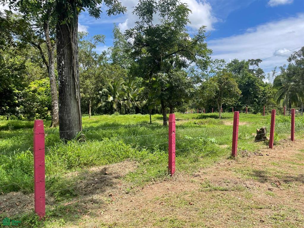  bed Land For Sale in Sarapiqui, Heredia - 1