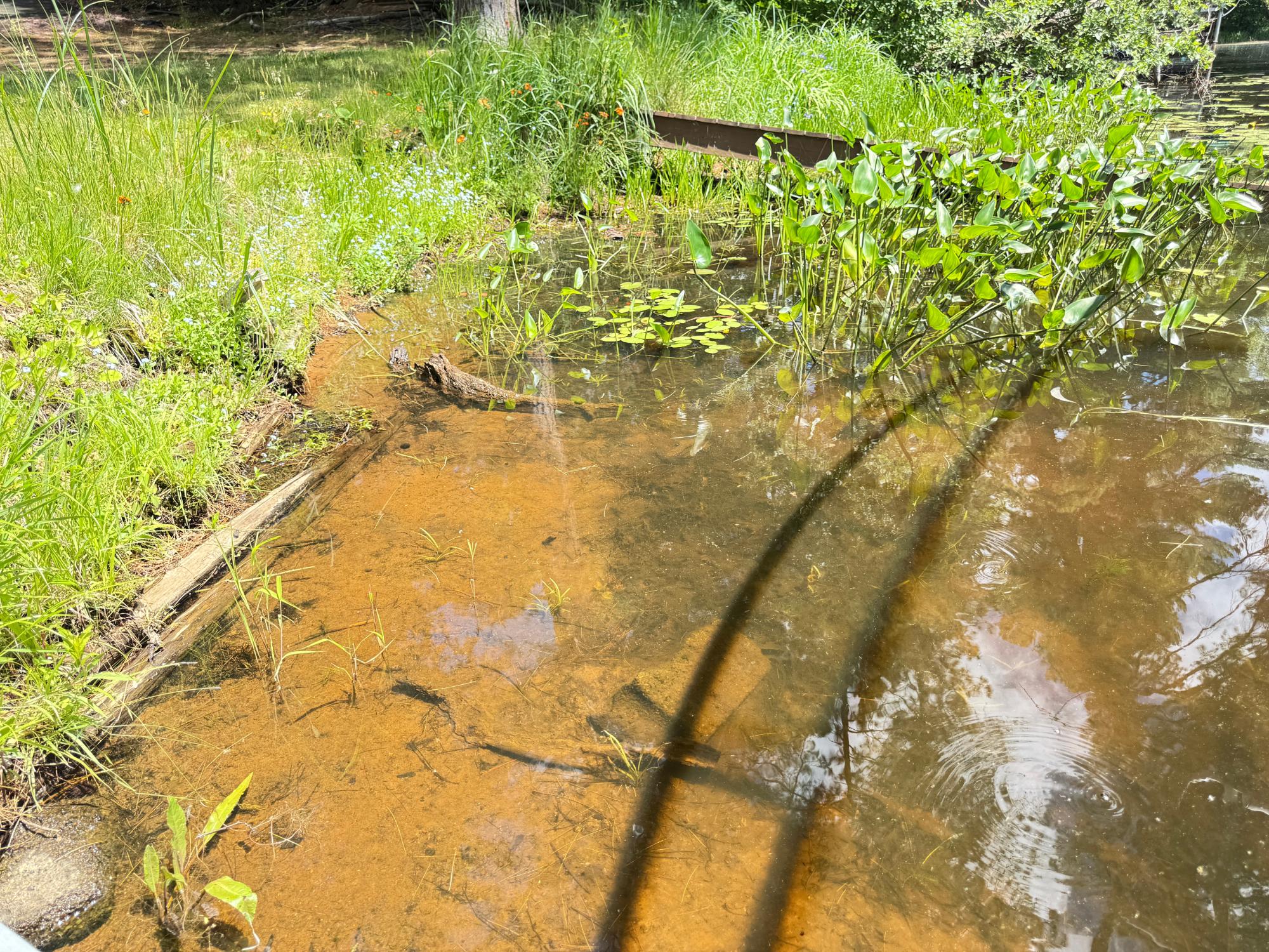 Rhinelander Flowage Property 4027 Chipmunk Ln Photo 16