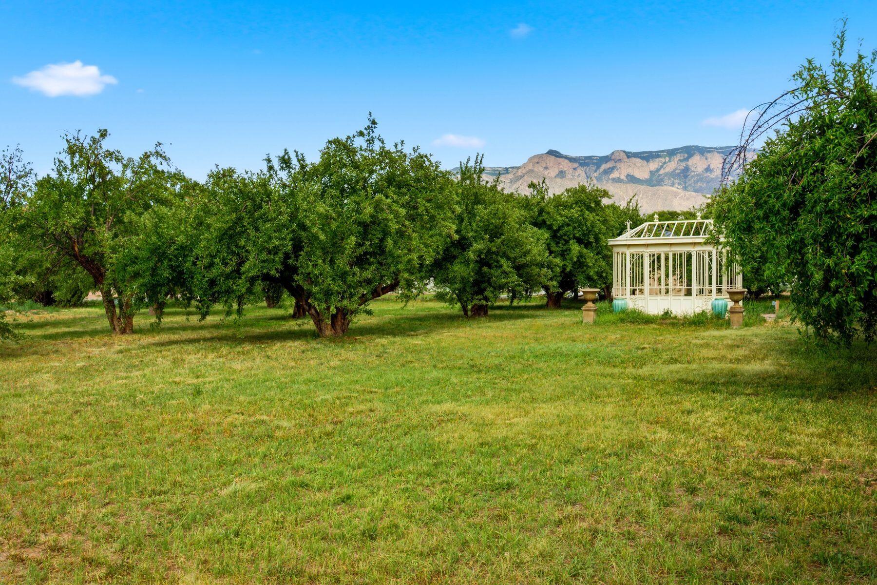 Photo 1 of Land for sale at 21 E Alary Ln, Corrales, NM 87048 | MLS# 1106276 | Listing updated on 2026-09-18
