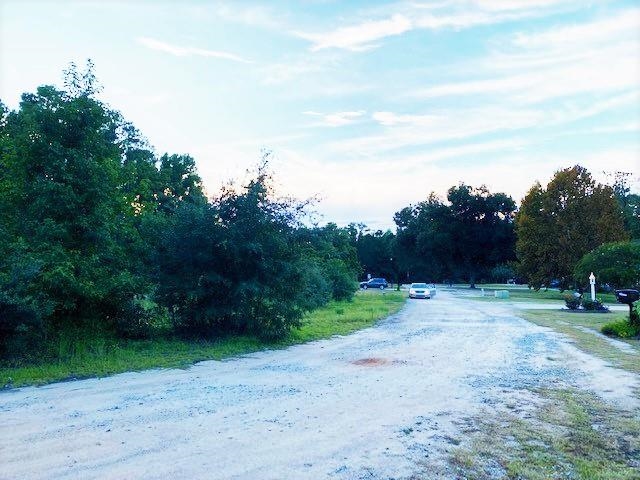 2616289 | Photo 6