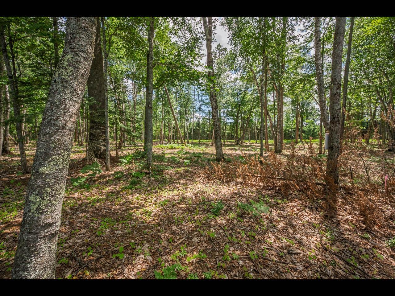 Clearwater Lake Property Lot 160 Clearwater Lake Tr Photo 6