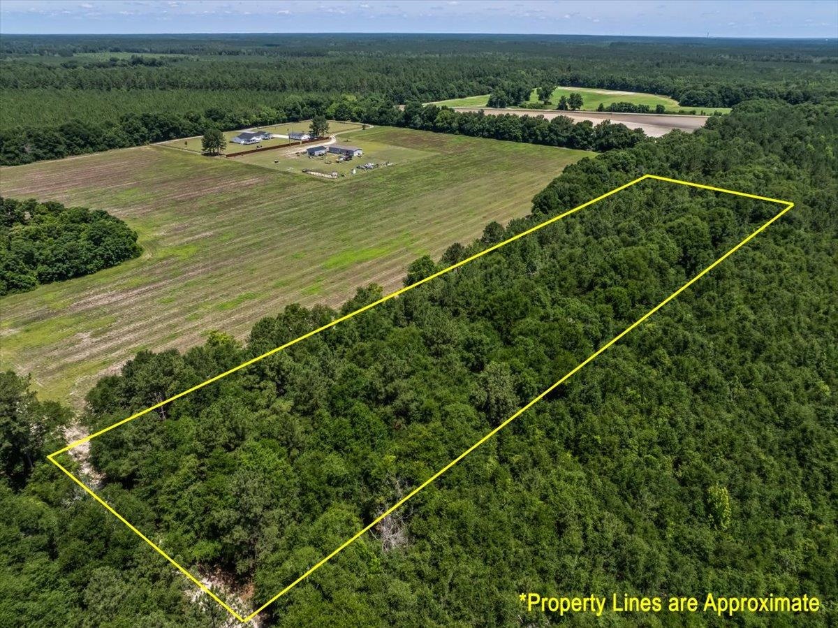 TBD 5.3 Ac Springtown Rd Bamberg, SC 29003