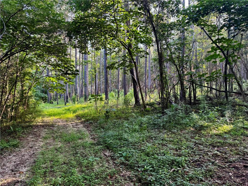 Homes for sale in Bogalusa, LA | Parcel 3 Wardline Rd, Bogalusa, LA 70427 | MLS# 2565168