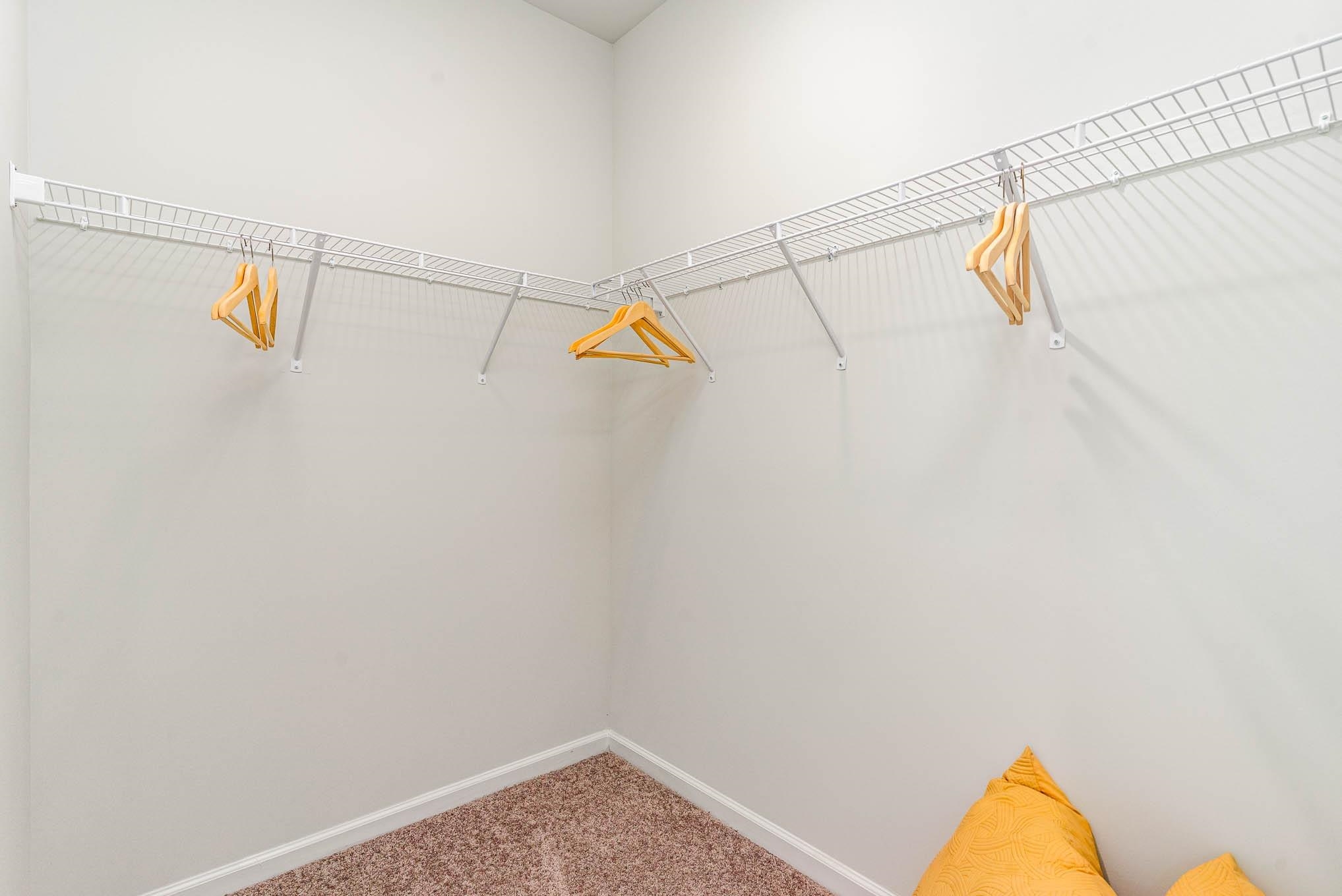 2616528 | Photo 18