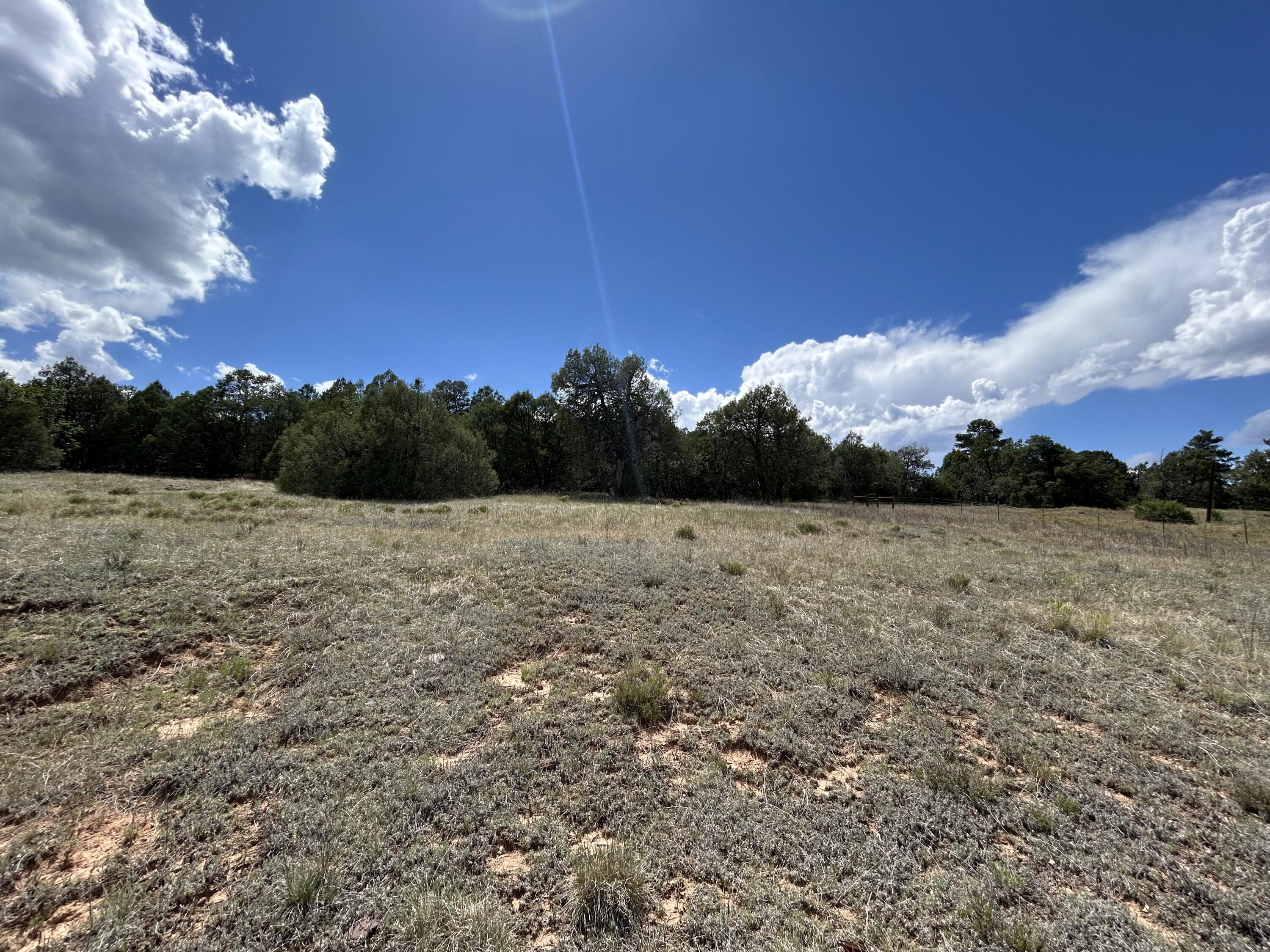 10347 NM 337 Tijeras, NM 87059