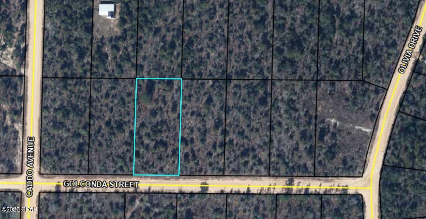 0 Golconda Street, Alford, FL 32420