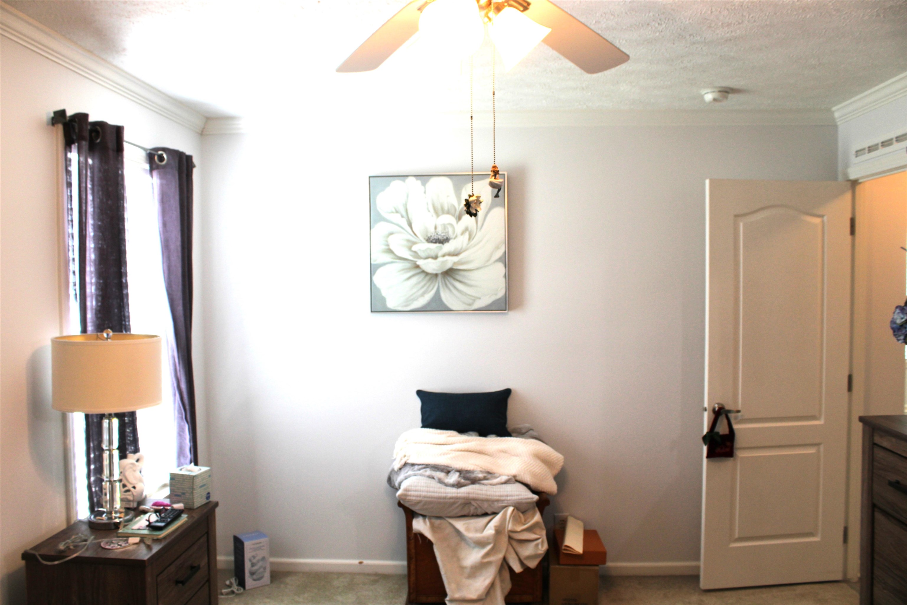 2616626 | Photo 23