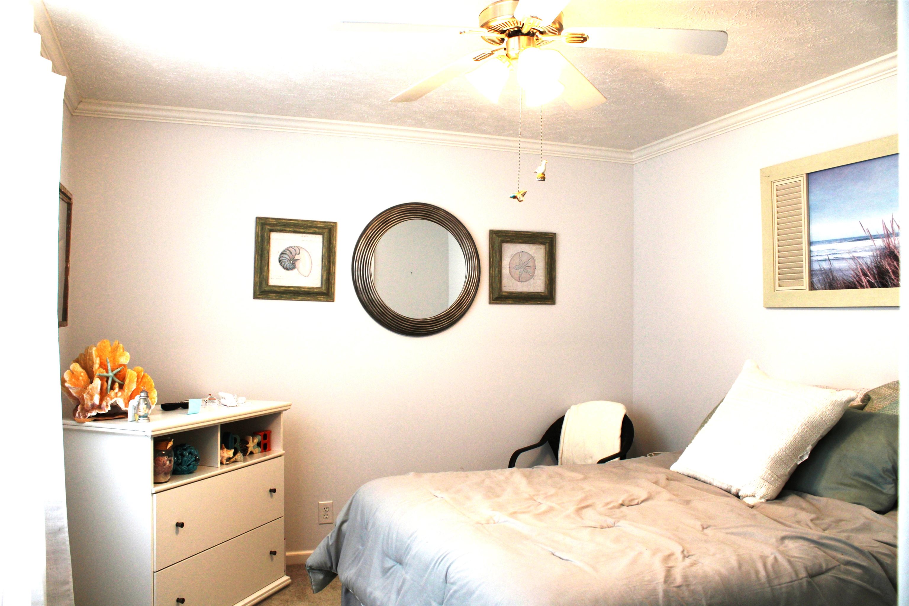 2616626 | Photo 5