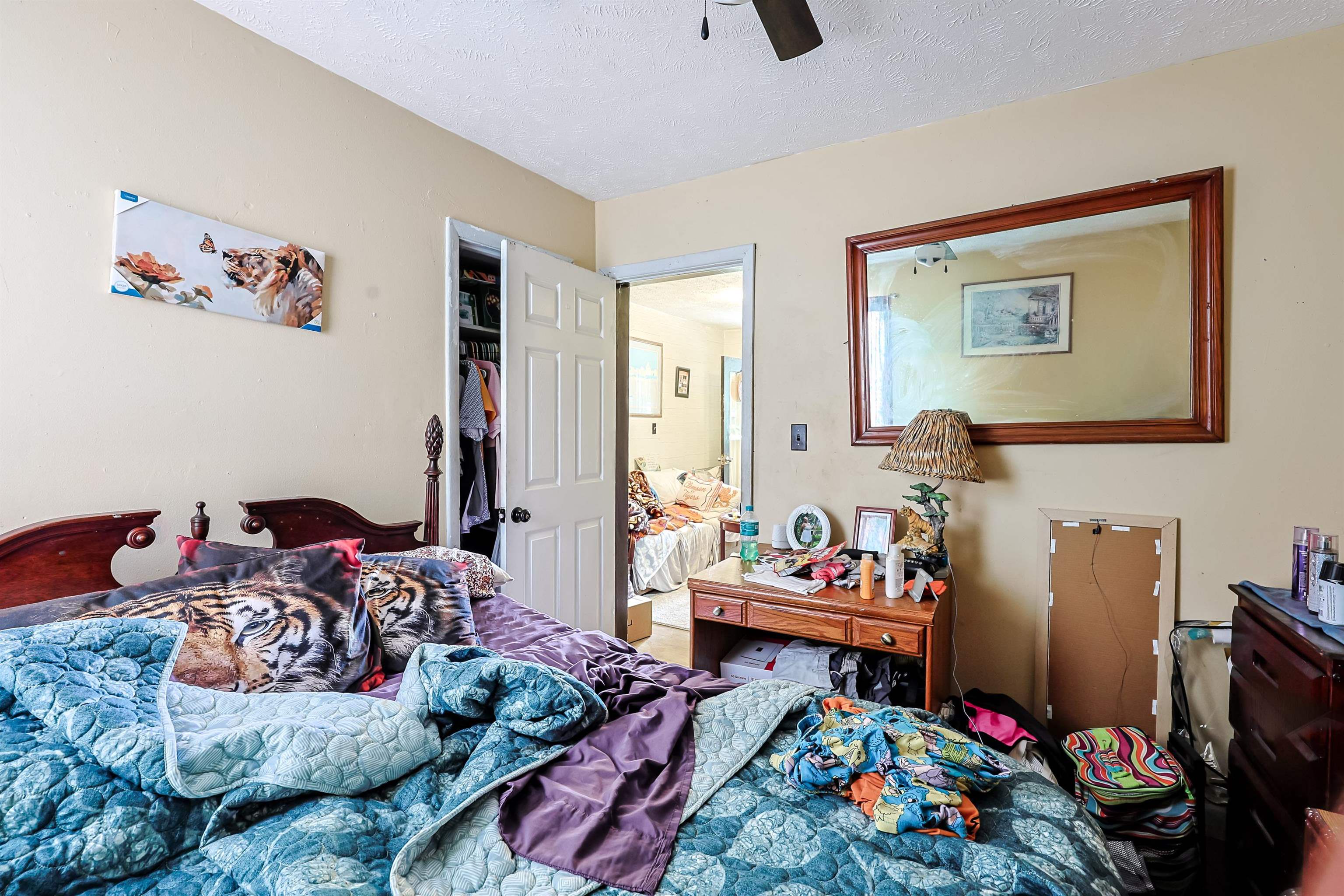 2616683 | Photo 14