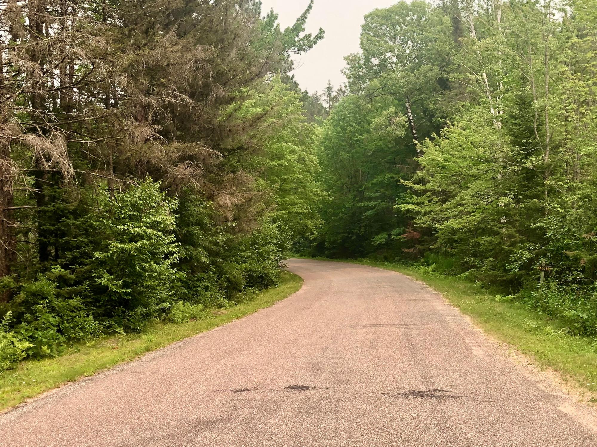 Morton Lake Property Lot off Bear Trl Photo 11